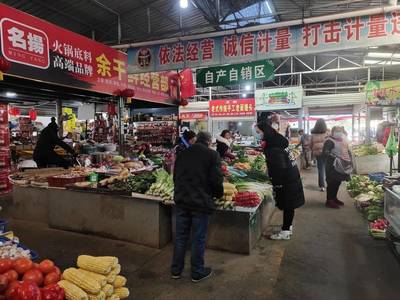 农残快检守护都江堰市民舌尖上的安全 家用电器销售新亮点