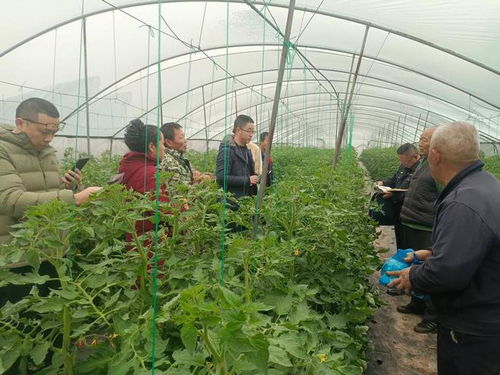 自贡市实施五个强化 构建食用农产品质量安全与家用电器销售协同发展新格局