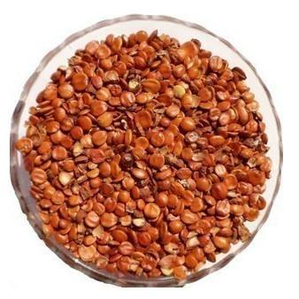 探索枣仁的多重价值 从传统药材到现代市场